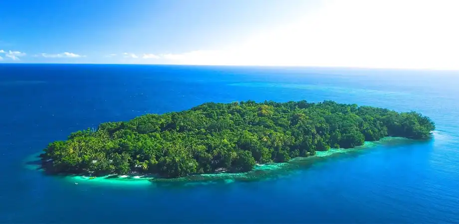 Case Study: How Evis Resort Transformed Its Business with SimpliWeb Featured Image